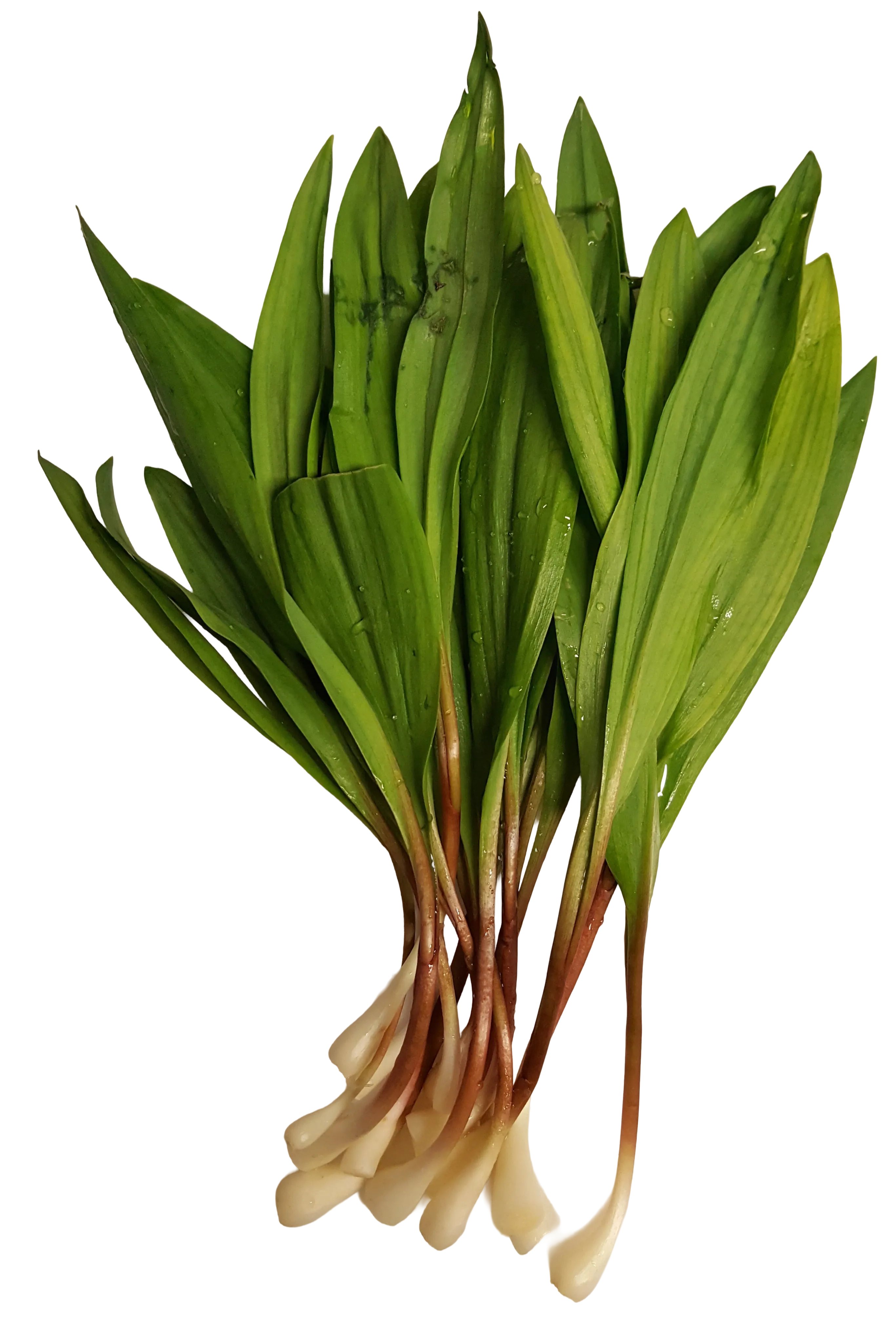 Ramps